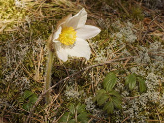 Similar image 22622414