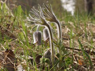 Similar image 22622415