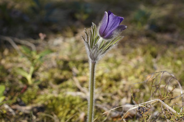 Similar image 22622416