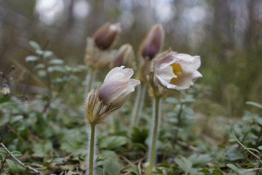 Similar image 22622417