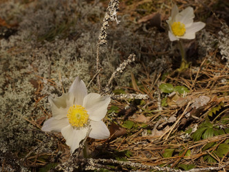 Similar image 22622418