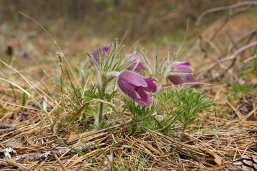 Similar image 22622419