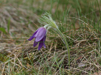 Similar image 22622424