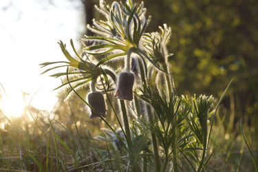 Similar image 22622425