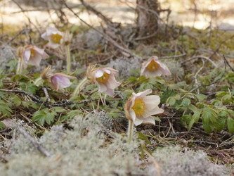 Similar image 22622426