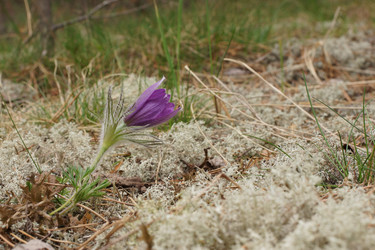 Similar image 22622427