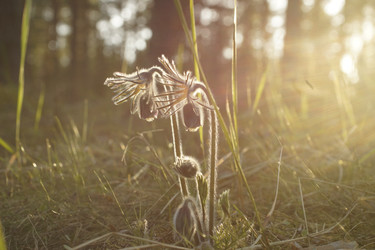 Similar image 22622428