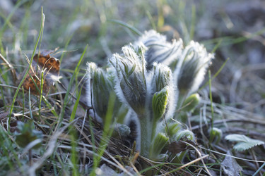 Similar image 22622429