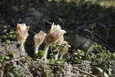 Similar image 22622430