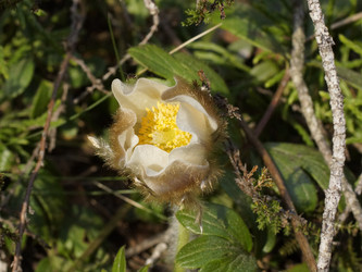 Similar image 22622431