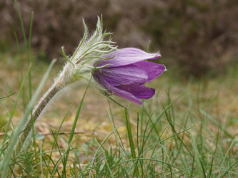 Similar image 22622432