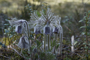 Similar image 22622433