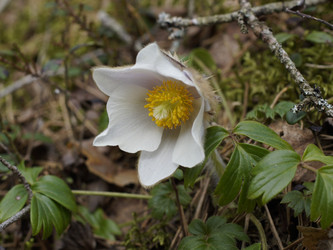 Similar image 22622434