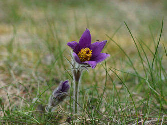 Similar image 22622448