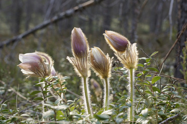 Similar image 22622449