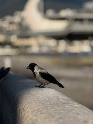 Similar image 22626122