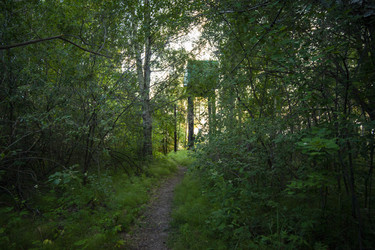 Similar image 22627970