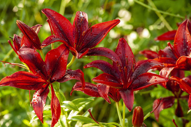 Similar image 22627973