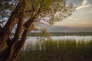 Similar image 22627980