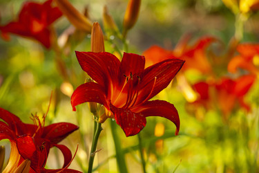 Similar image 22627983