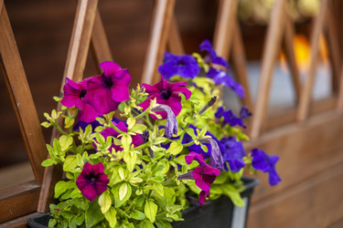 Similar image 22627993