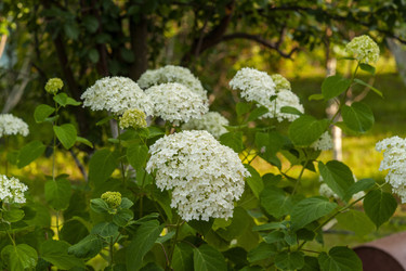 Similar image 22627994