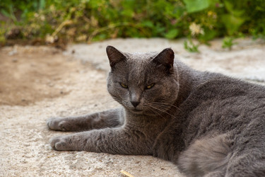 Similar image 22627984