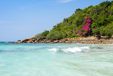 Similar image 22629943