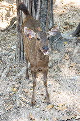 Similar image 22629945