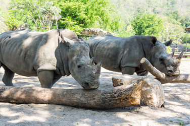 Similar image 22629960