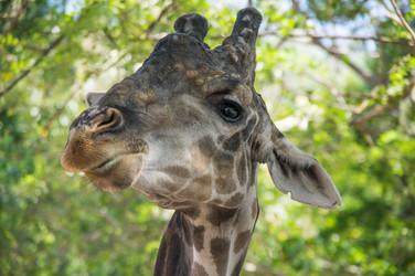 Similar image 22629964