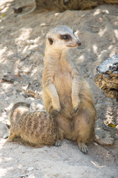 Similar image 22629970