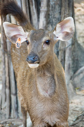 Similar image 22629974