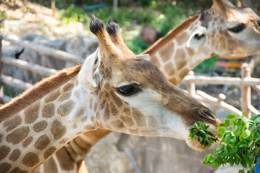 Similar image 22629975