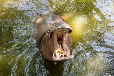 Similar image 22629984