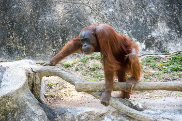 Similar image 22629985