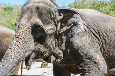 Similar image 22629995