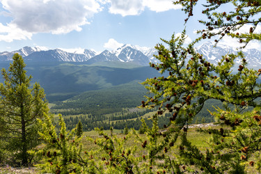 Similar image 22630000