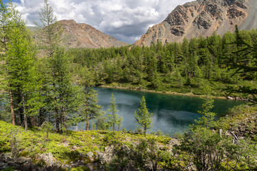 Similar image 22630005