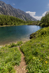 Similar image 22630006