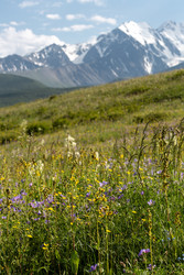 Similar image 22630009