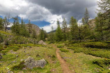 Similar image 22630029