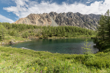 Similar image 22630030