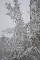 Similar image 22626773