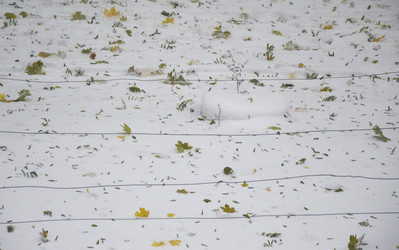 Similar image 22626785