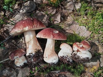 Similar image 22626899