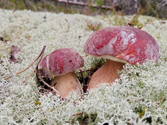 Similar image 22626900