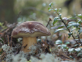 Similar image 22626901