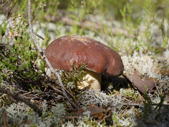 Similar image 22626133