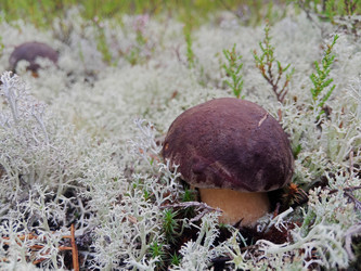 Similar image 22626134